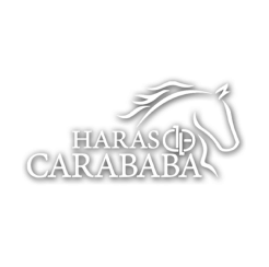 haras-Carababa