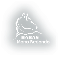 haras-morroredondo (1)