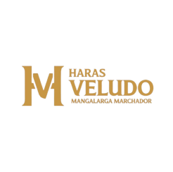 haras-veludo